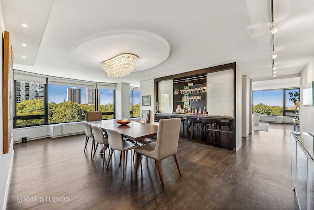 dining room with dark wood-type flooring, rail lighting, an inviting chandelier, and a wealth of natural light