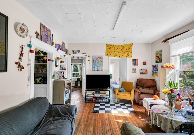 living room with dark wood-type flooring