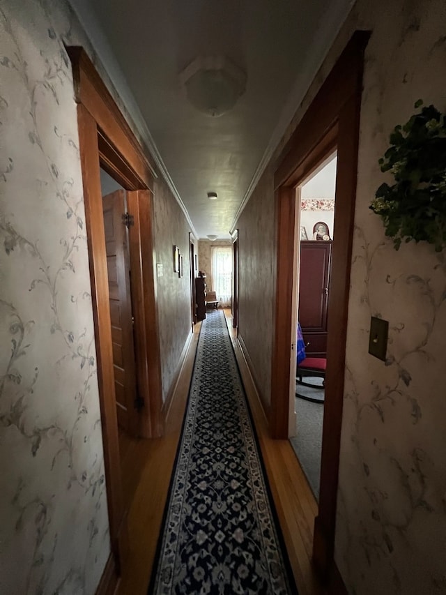 dining room featuring light hardwood / wood-style floors and crown molding