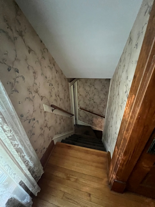 dining space with hardwood / wood-style floors and ornamental molding