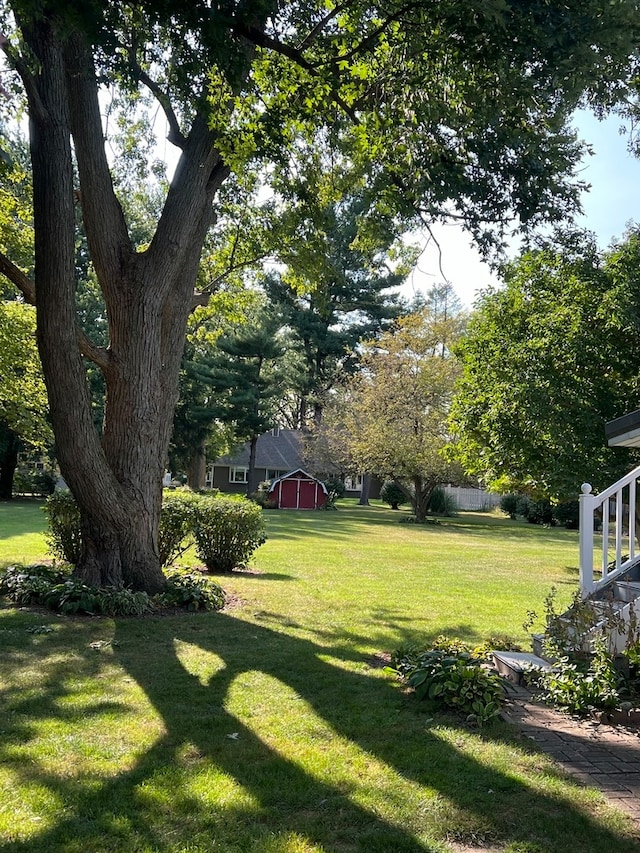 view of yard featuring a shed