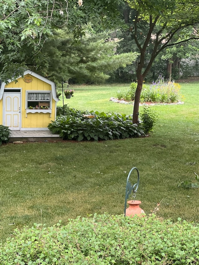 view of yard with a storage shed