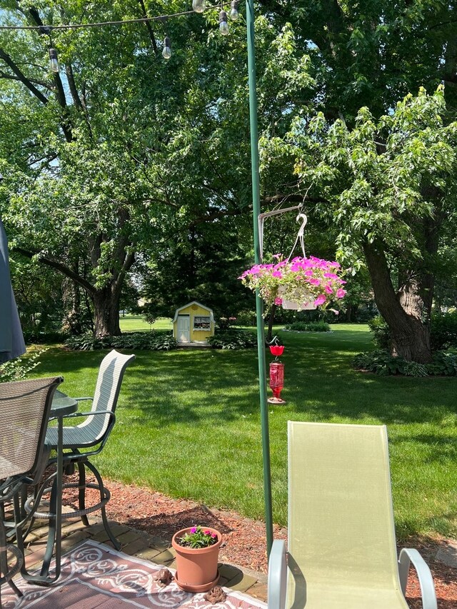 view of yard with a shed