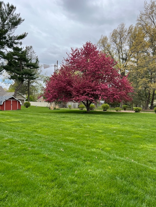 view of side of property with a yard