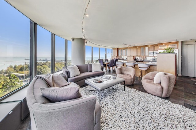 living room featuring expansive windows, dark hardwood / wood-style floors, track lighting, and a water view