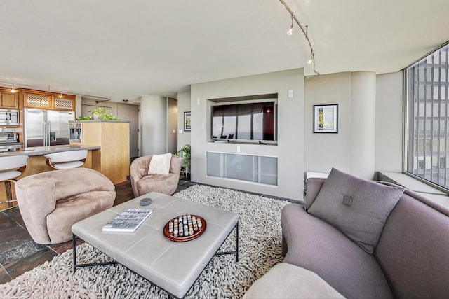 living room with rail lighting and hardwood / wood-style floors