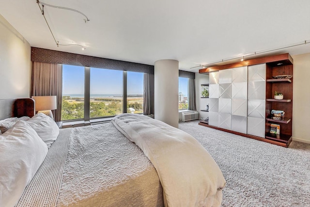 carpeted bedroom with rail lighting