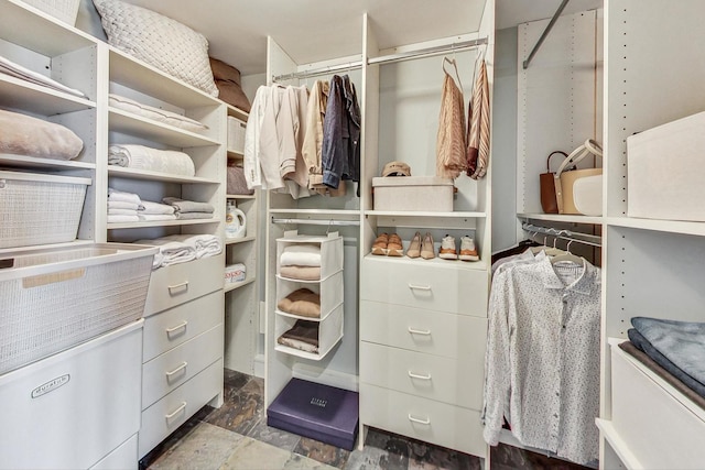 view of spacious closet