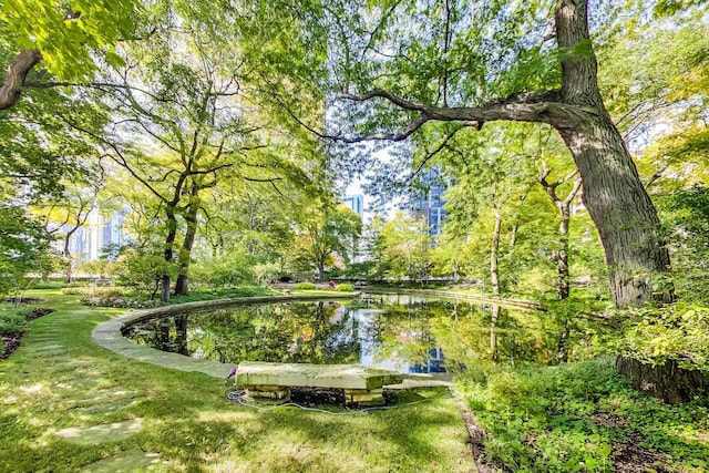 surrounding community featuring a water view and a yard