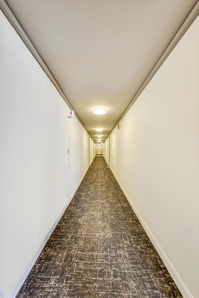 hall featuring dark colored carpet