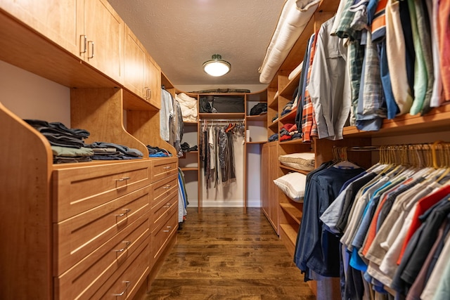 spacious closet with dark hardwood / wood-style floors