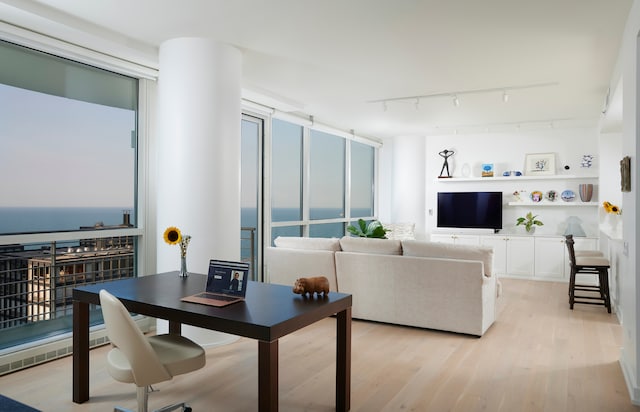 living room featuring track lighting and light hardwood / wood-style floors