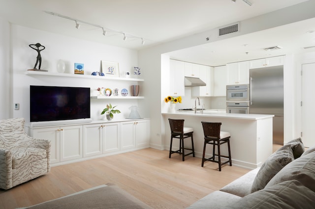 living room featuring light wood-type flooring and track lighting