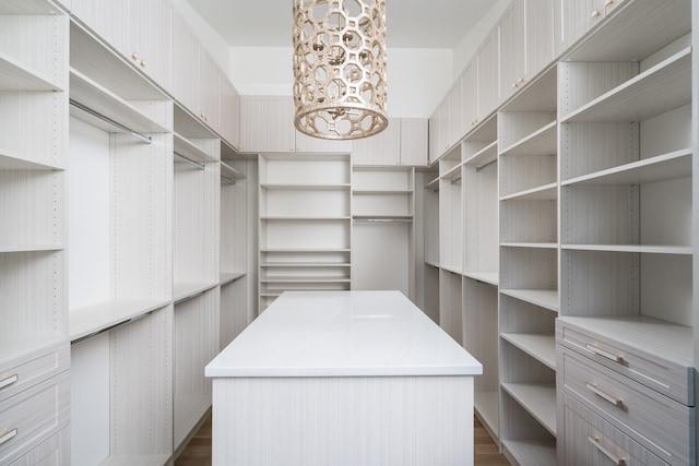 walk in closet featuring dark hardwood / wood-style flooring