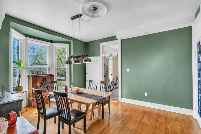 dining space with light hardwood / wood-style flooring