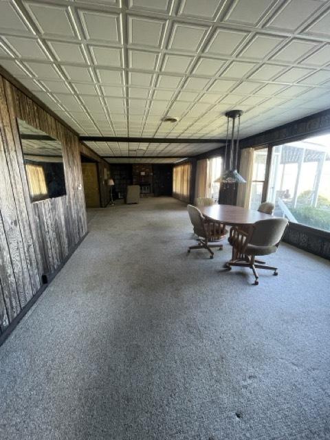 17580 1200 E St, Wyanet, IL 61379 - carpeted dining room featuring wood walls