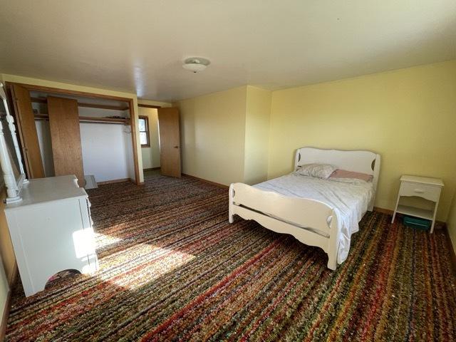 17580 1200 E St, Wyanet, IL 61379 - bedroom featuring carpet floors