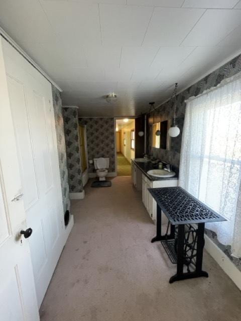 17580 1200 E St, Wyanet, IL 61379 - kitchen with light colored carpet, a sink, and wallpapered walls
