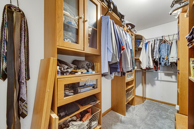 spacious closet with light carpet