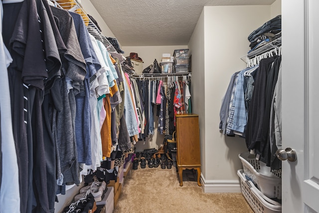 walk in closet featuring light carpet