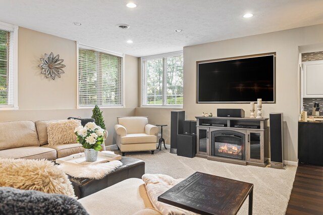 living room featuring a textured ceiling and dark hardwood / wood-style flooring