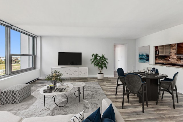 living room with hardwood / wood-style floors