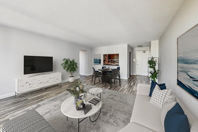 living room featuring wood-type flooring