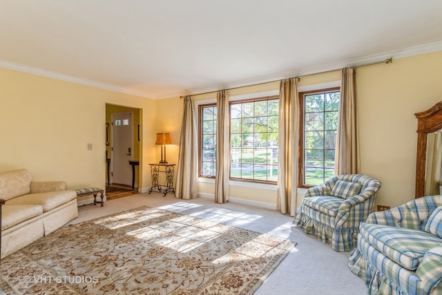 carpeted living room featuring crown molding