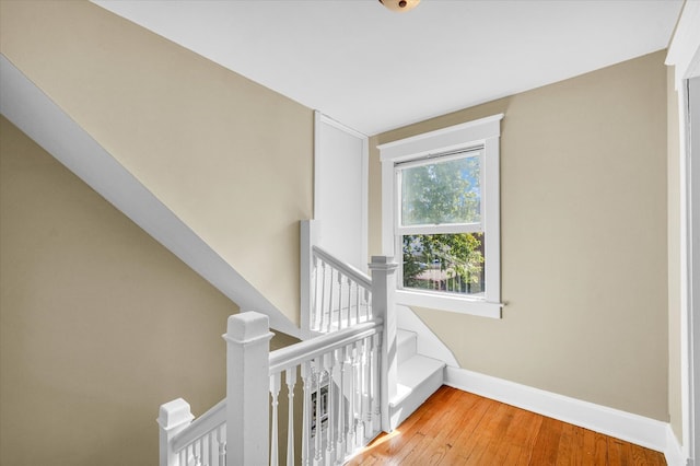 staircase featuring wood-type flooring