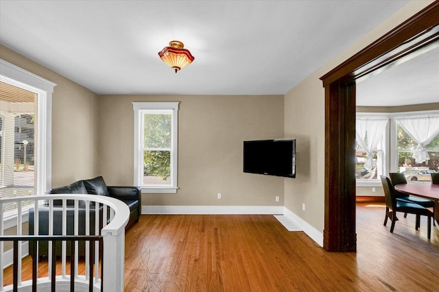 bedroom featuring wood-type flooring