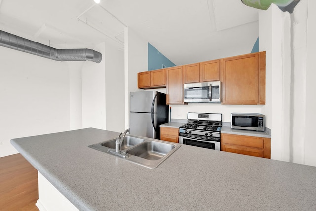 kitchen featuring appliances with stainless steel finishes, light hardwood / wood-style floors, and sink