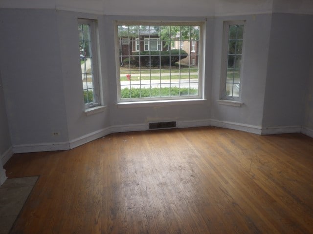 spare room featuring wood-type flooring