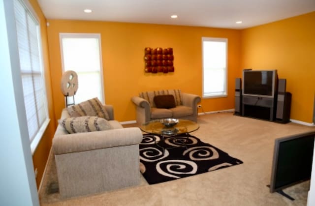 living room with carpet floors and a healthy amount of sunlight