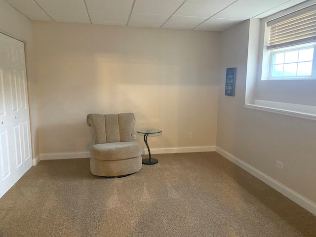 unfurnished room featuring carpet and a paneled ceiling