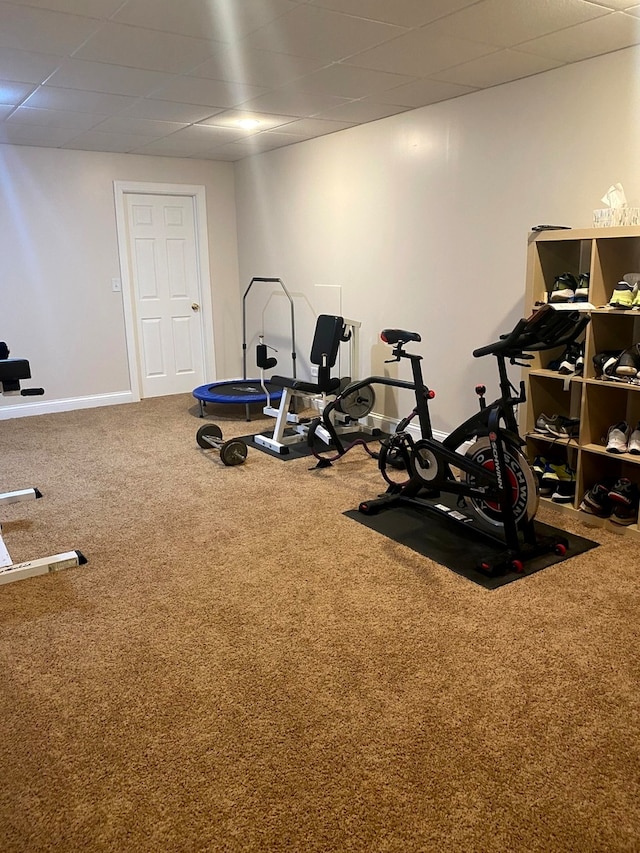 exercise area featuring a paneled ceiling and carpet flooring