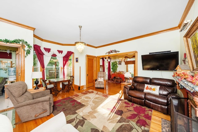 living room featuring crown molding and wood-type flooring