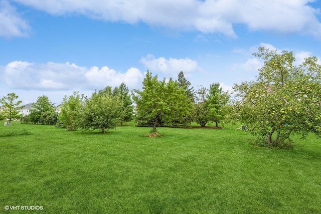 view of yard featuring a rural view