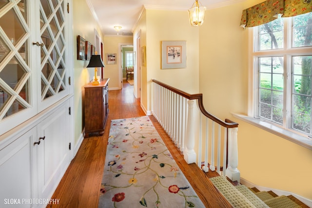 hall with wood-type flooring, a healthy amount of sunlight, and ornamental molding