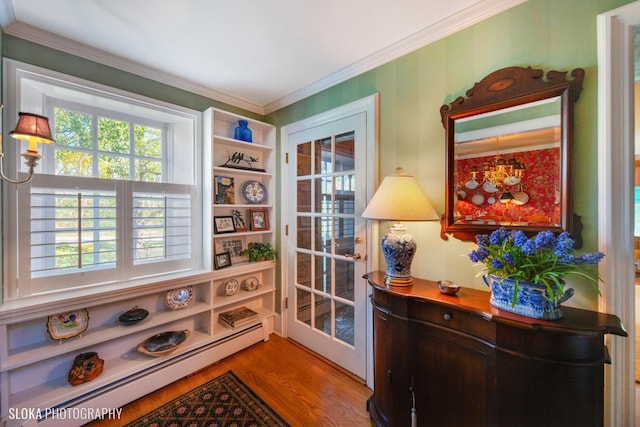 doorway with ornamental molding, a wealth of natural light, baseboard heating, and wood finished floors
