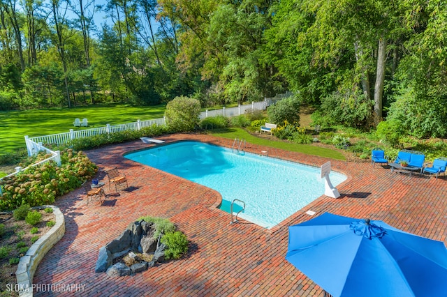 view of pool featuring a patio area, a diving board, and a yard