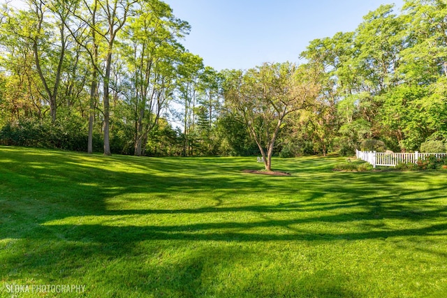 view of yard featuring fence