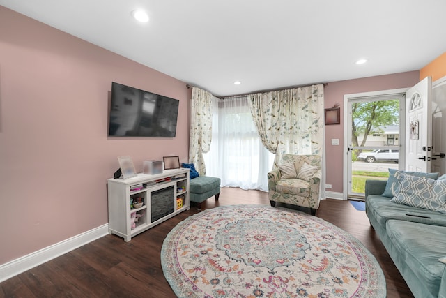 living room featuring dark wood-type flooring