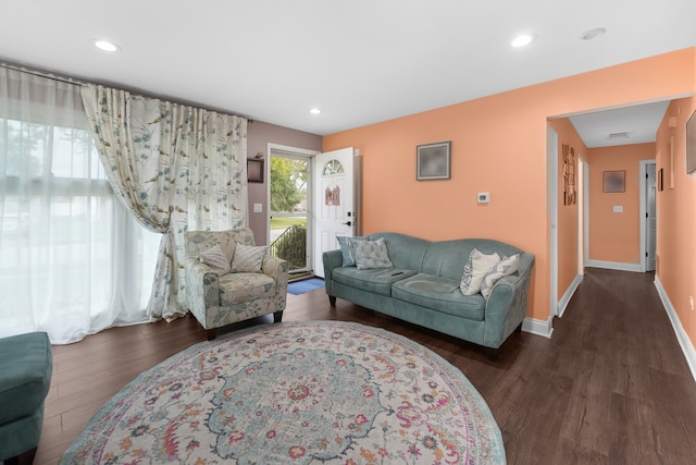 living room with dark hardwood / wood-style flooring