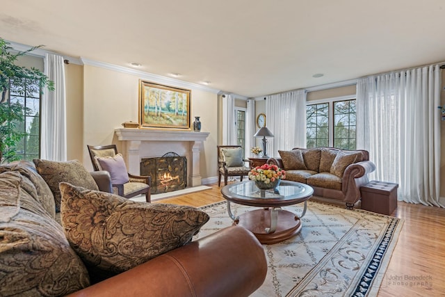 living room featuring crown molding and light wood-type flooring