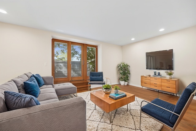 living room with light wood-type flooring