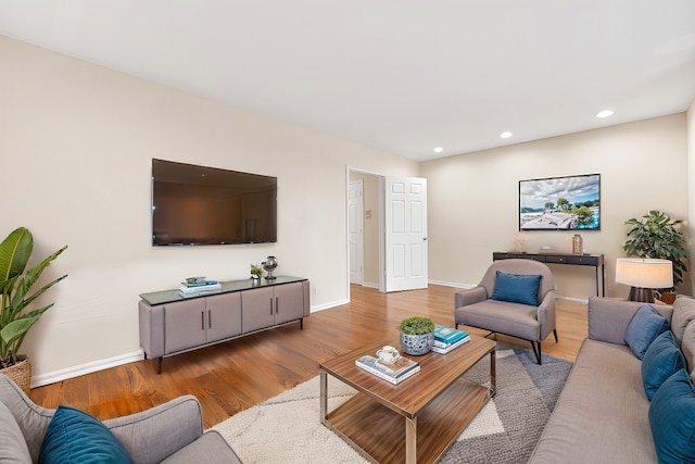 living room with wood-type flooring