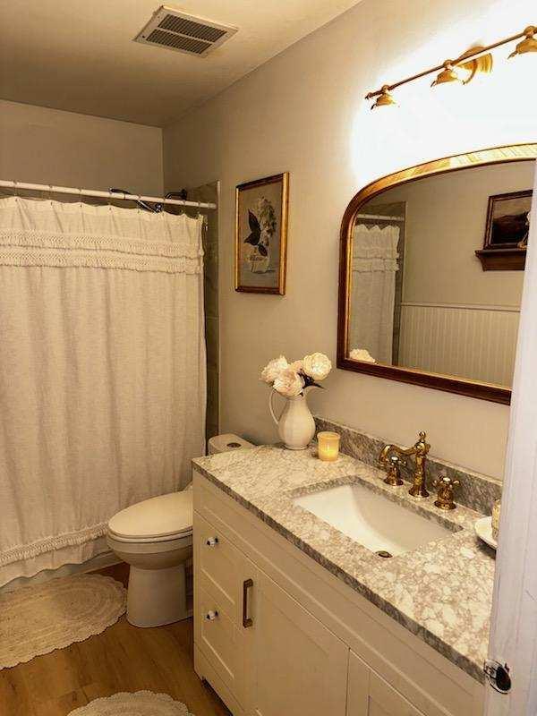 bathroom with curtained shower, wood-type flooring, vanity, and toilet