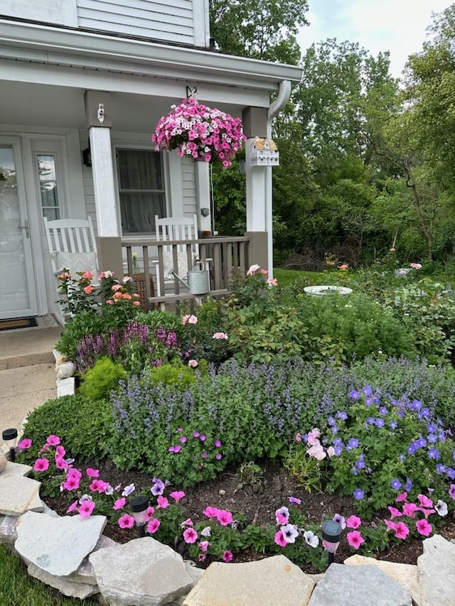 view of yard featuring covered porch