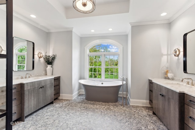 bathroom featuring vanity, ornamental molding, and a washtub