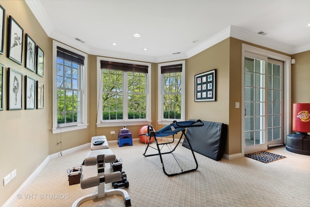 workout room with ornamental molding and carpet